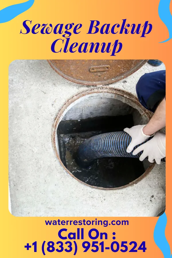 Sewage Backup Cleanup in Lexington, AL
